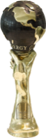award 6