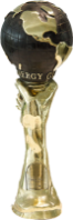 award 4